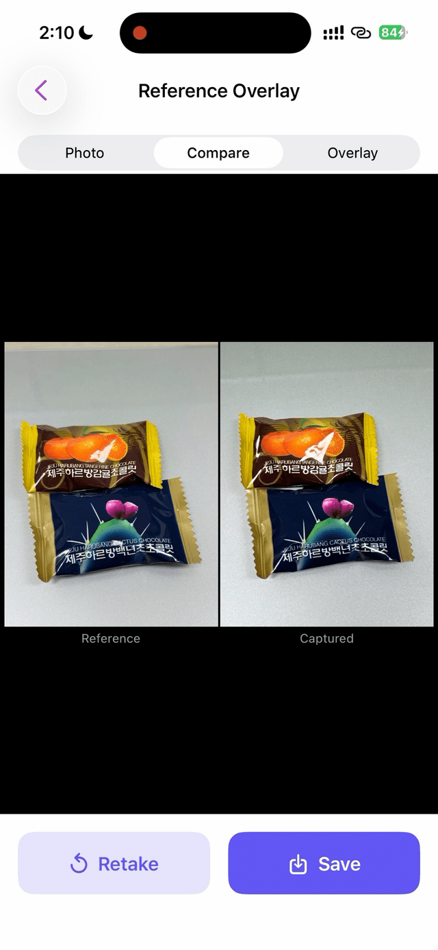 Reference Overlay comparing the reference photo with the captured recreation side by side